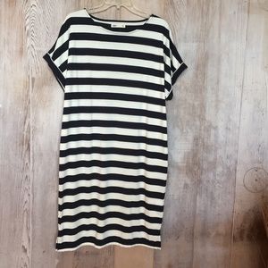 Navy/Off White Dolman Sleeve T Shirt Dress NEW